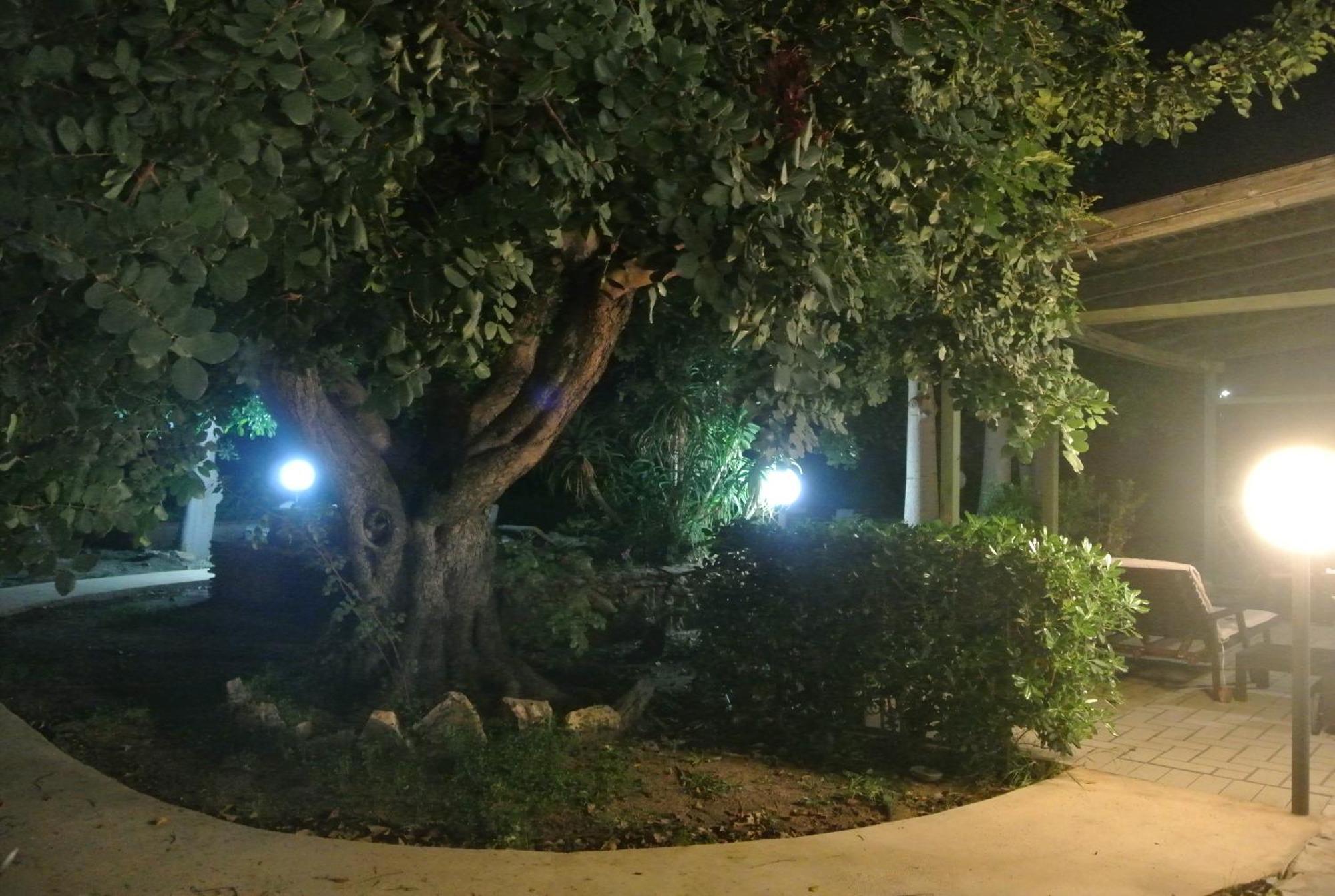 Villa Carlotta Resort San Leone Exterior foto
