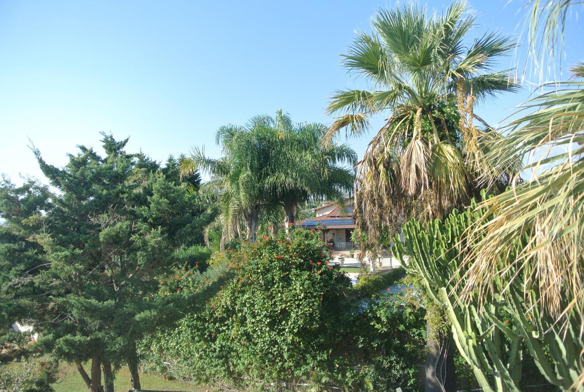 Villa Carlotta Resort San Leone Exterior foto